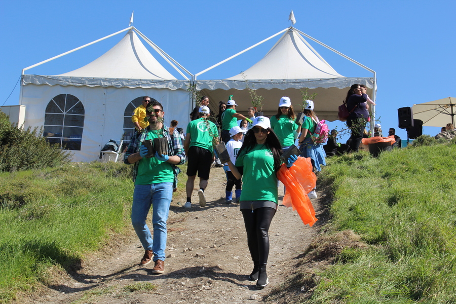 Tree-planting2_900x.jpg